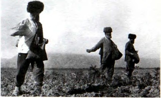 Фотография из книги «Горские евреи»