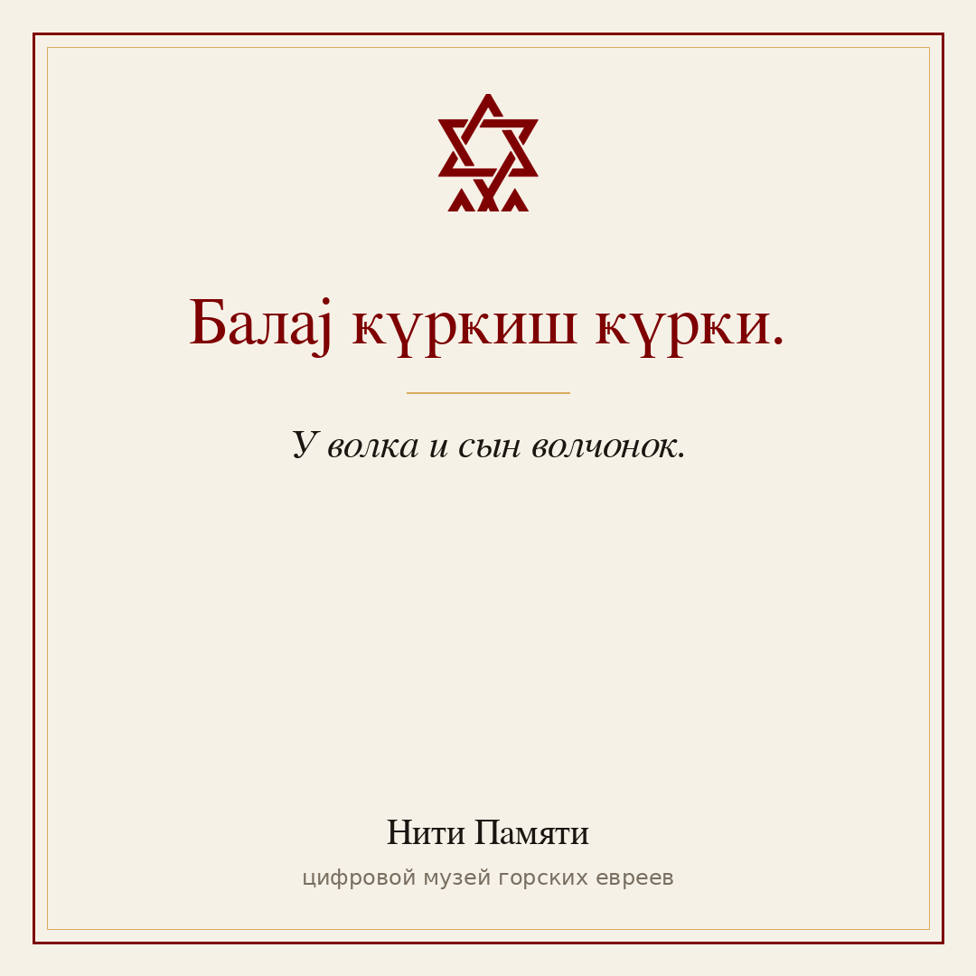 Балај ҝүрҝиш ҝүрҝи. — У волка и сын волчонок.